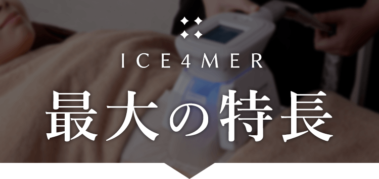 ICE4MER最大の特徴