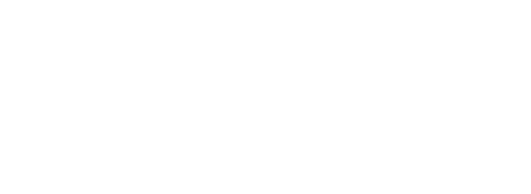 ice-4mer